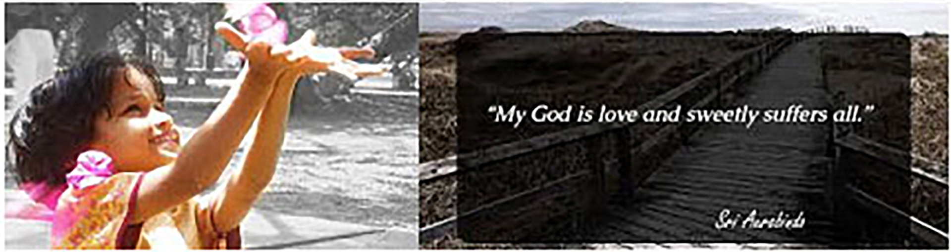 Siddhi Day Celebration 26th November 2016